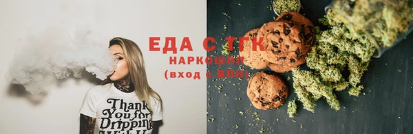 индика Володарск