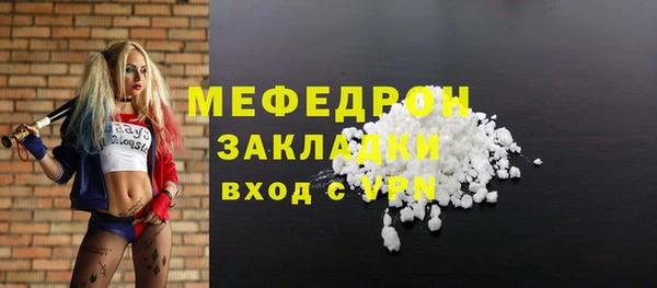 индика Володарск