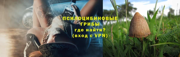 индика Володарск