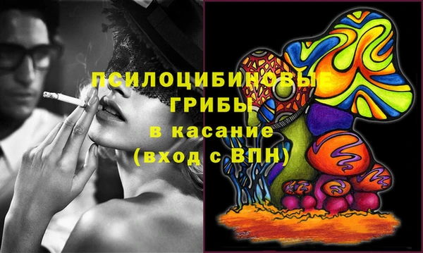 гидропоника Верея