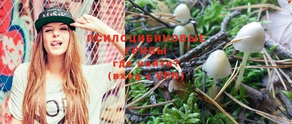 индика Володарск