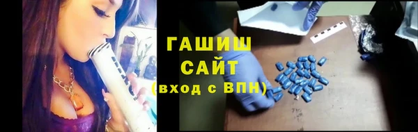 индика Володарск