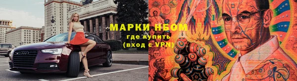 индика Володарск