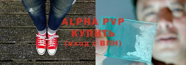 индика Володарск