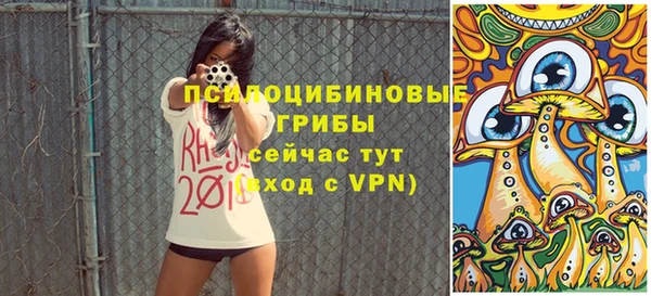 индика Володарск
