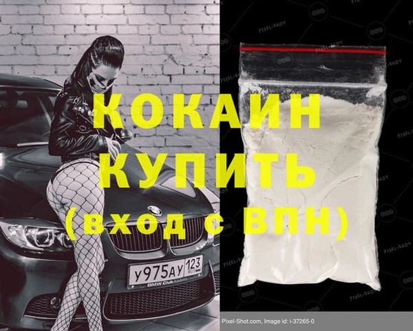 индика Володарск