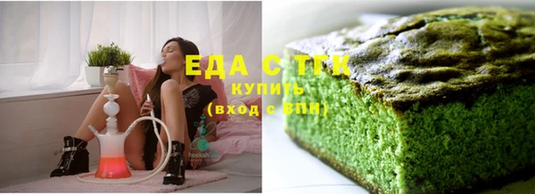 индика Володарск