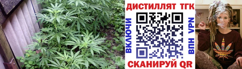 купить наркотик  сайты даркнета как зайти  ТГК вейп  Володарск 