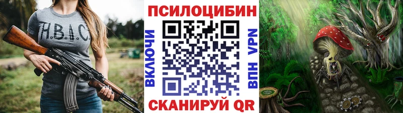 купить закладку  Володарск  Галлюциногенные грибы Magic Shrooms 
